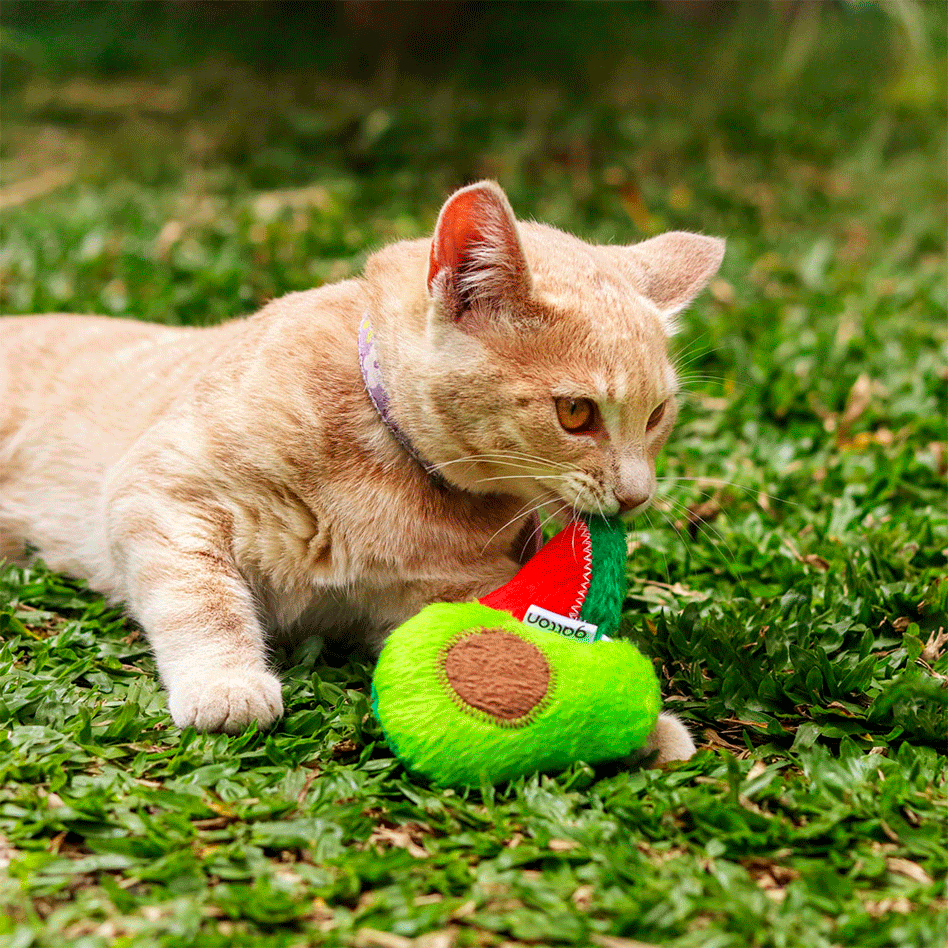 Brinquedo Pelúcia Gatton Abacate e Melancia com Catnip Verde para Gatos - Tam. Único