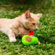 Brinquedo Pelúcia Gatton Abacate e Melancia com Catnip Verde para Gatos