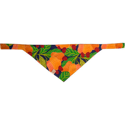 Bandana Fábrica Pet Cajú para Cães e Gatos