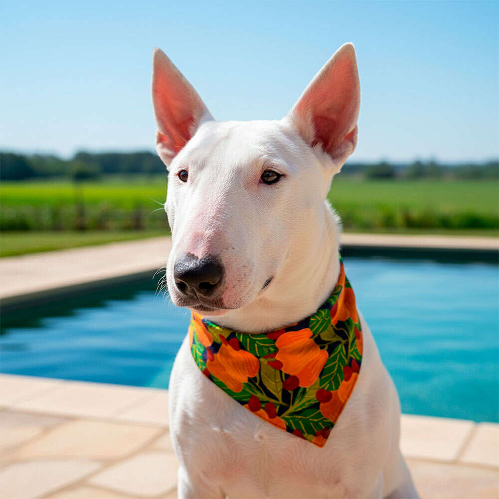 Bandana Fábrica Pet Cajú para Cães e Gatos - Tam. Único