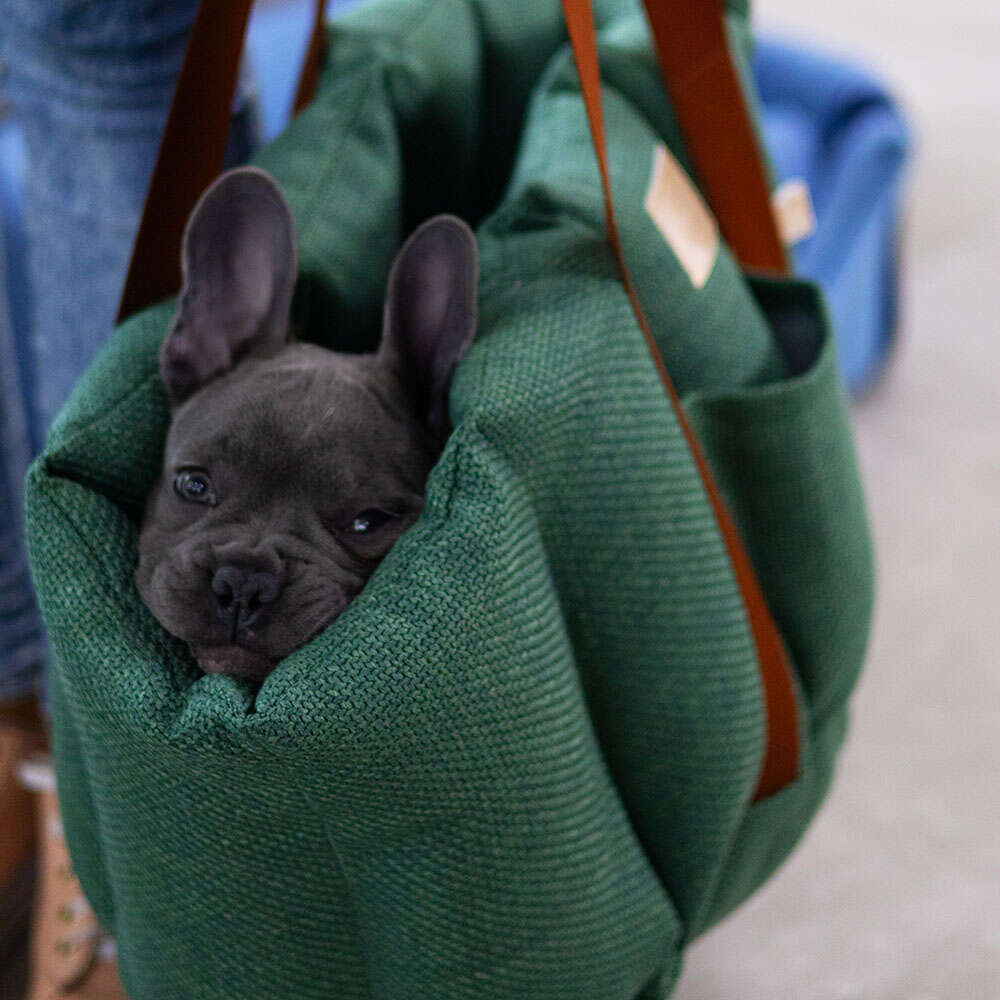 Bolsa de Transporte Gomo Malaga Fábrica Pet Verde para Cães e Gatos - Tam. Único