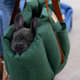 Bolsa de Transporte Gomo Malaga Fábrica Pet Verde para Cães e Gatos