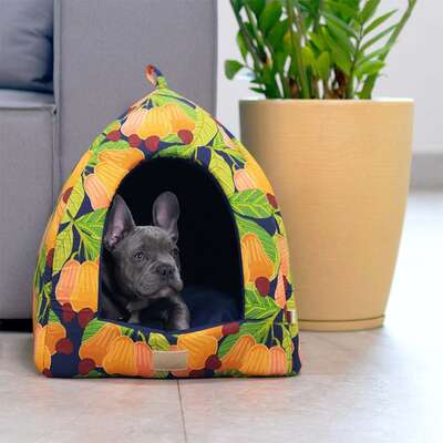 Cabana Fábrica Pet Cajú para Cães e Gatos