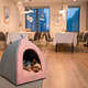 Cabana Fábrica Pet Home Rosé para Cães e Gatos