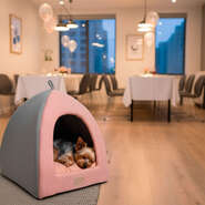 Cabana Fábrica Pet Home Rosé para Cães e Gatos - Tam. Único