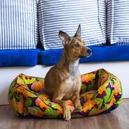 Cama Fábrica Pet Cajú Laranja para Cães e Gatos - Tam. M