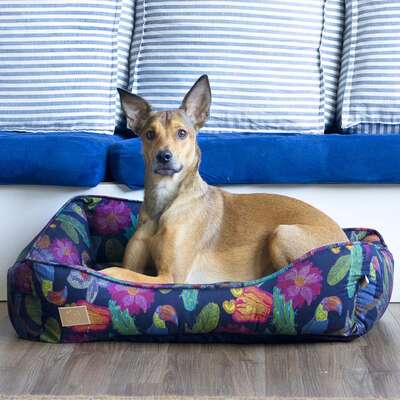 Cama Fábrica Pet Flor Noturna Preta para Cães e Gatos”