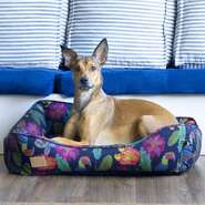 Cama Fábrica Pet Flor Noturna Preta para Cães e Gatos - Tam. P