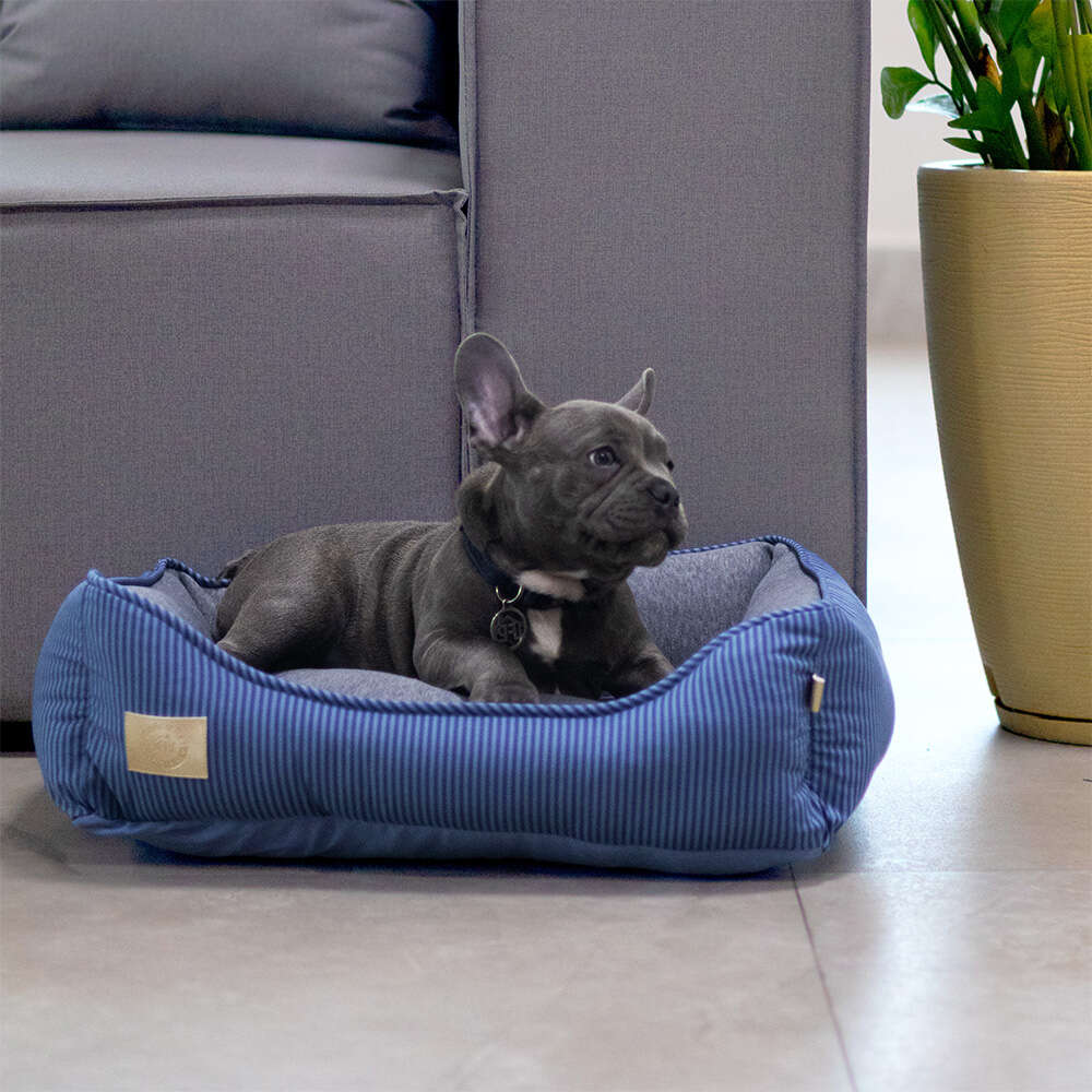 Cama Fábrica Pet Home Azul para Cães e Gatos - Tam. M