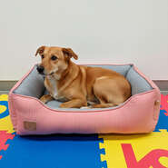 Cama Fábrica Pet Home Rosé para Cães e Gatos - Tam. G