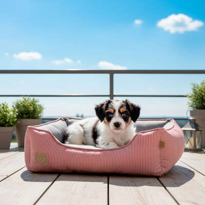 Cama Fábrica Pet Home Rosé para Cães e Gatos