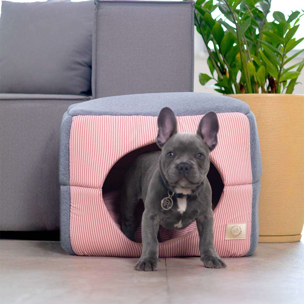 Cama Fábrica Pet Iglu Home Rosé para Cães e Gatos - Tam. Único