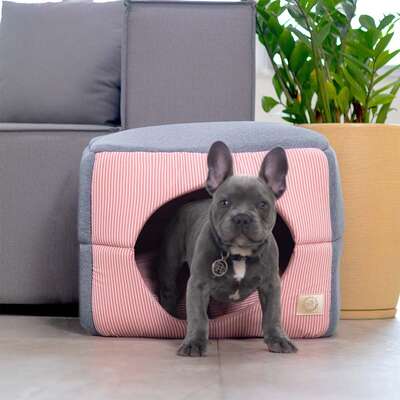 Cama Fábrica Pet Iglu Home Rosé para Cães e Gatos