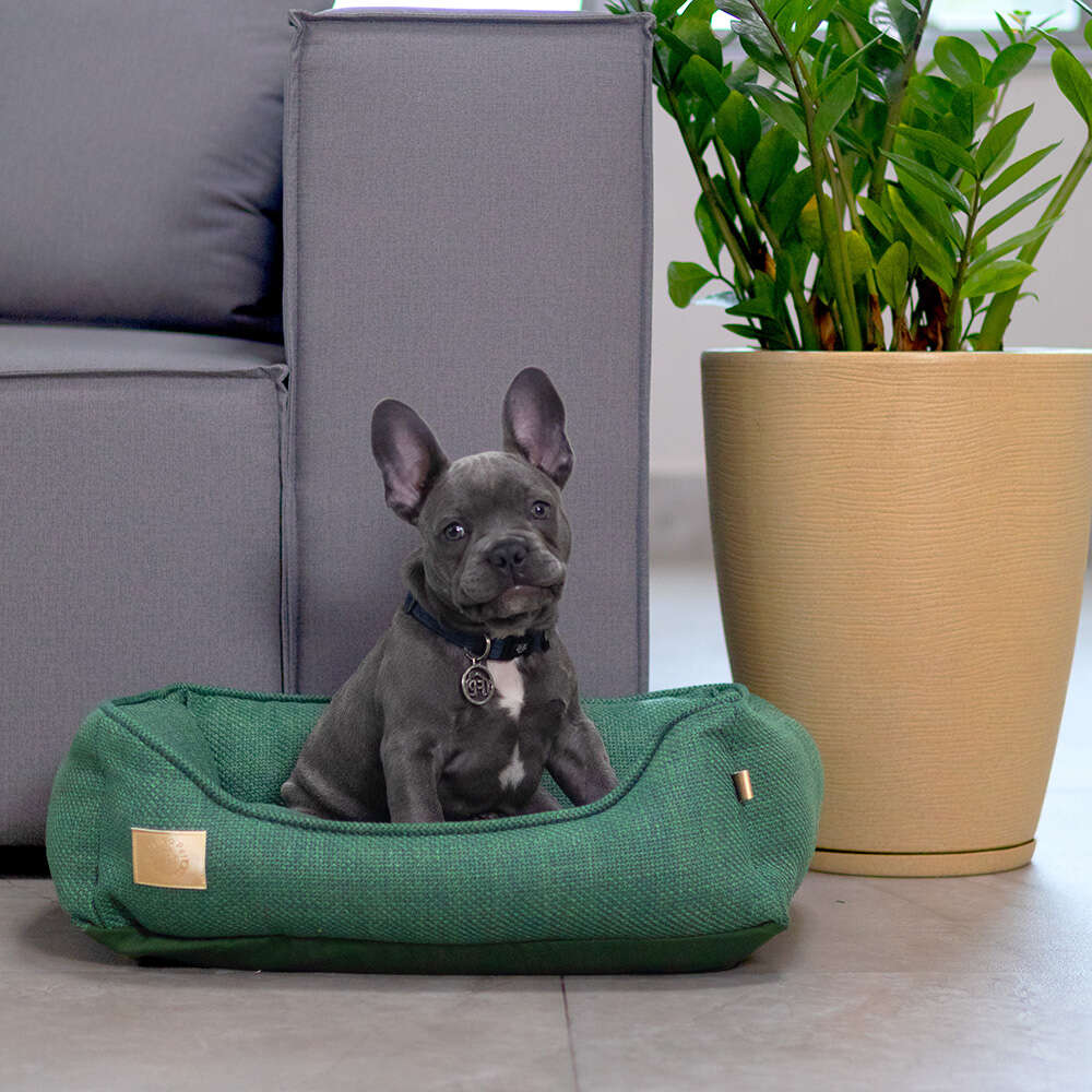 Cama Fábrica Pet Malaga Verde para Cães e Gatos - Tam. P