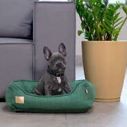 Cama Fábrica Pet Malaga Verde para Cães e Gatos - Tam. P