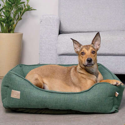 Cama Fábrica Pet Malaga Verde para Cães e Gatos