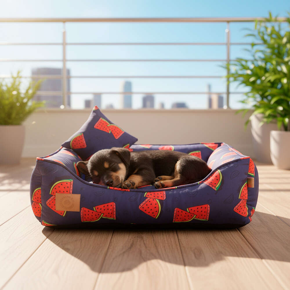Cama Fábrica Pet Melancia Azul para Cães e Gatos - Tam. P