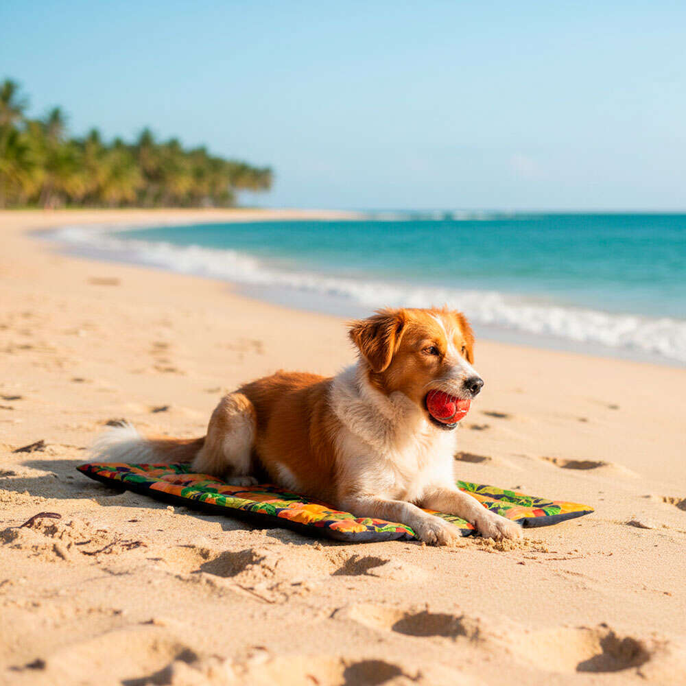Colchonete Fábrica Pet Cajú Laranja para Cães e Gatos - Tam. Único