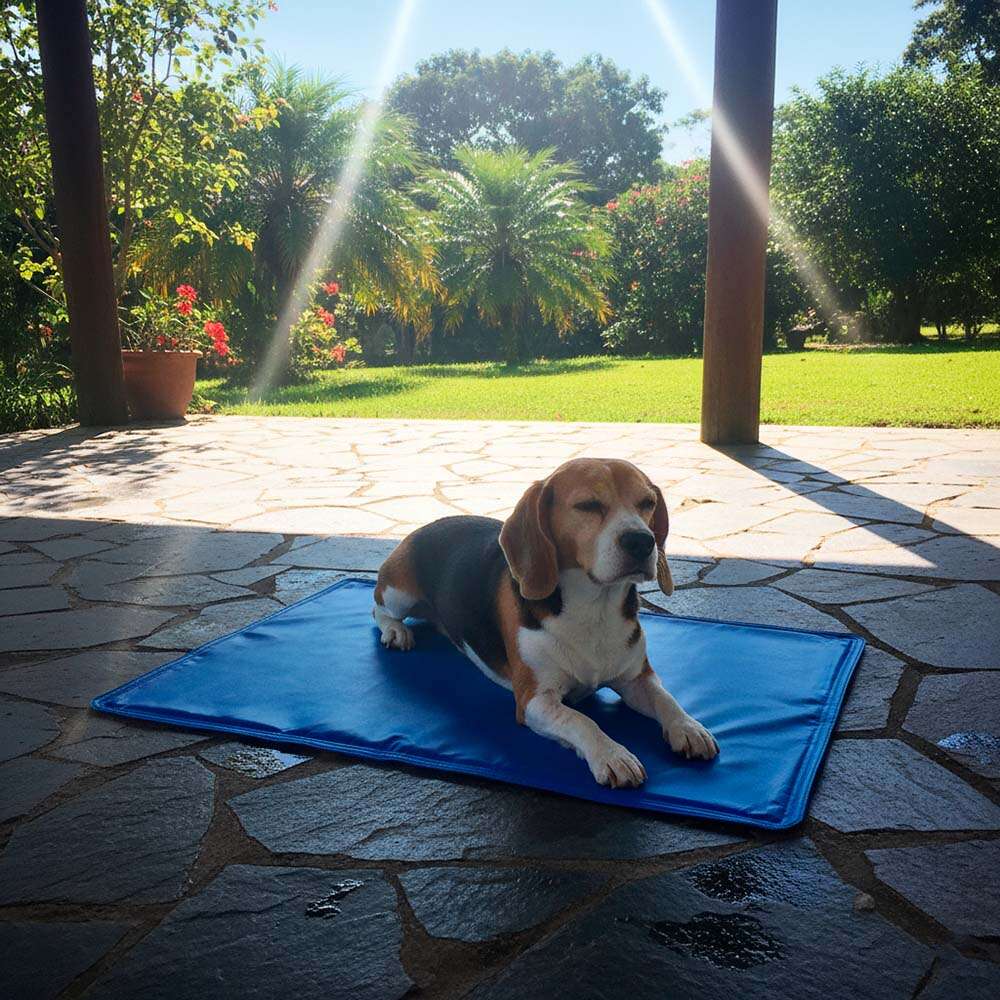 Tapete Gelado Fábrica Pet Azul para Cães e Gatos - Tam. M