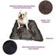 Almofadog Impermeável Choco