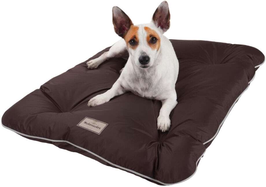 Almofadog Impermeável Choco - Tam. M