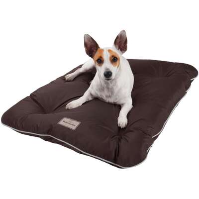 Almofadog Impermeável Choco