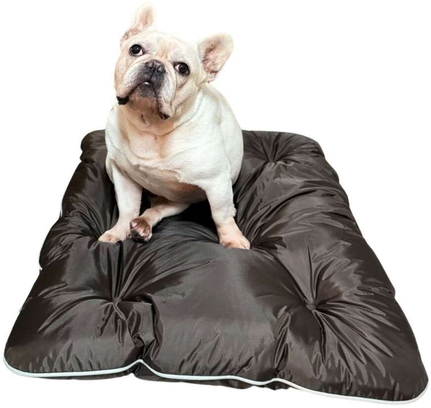 Almofadog Impermeável Choco - Tam. G