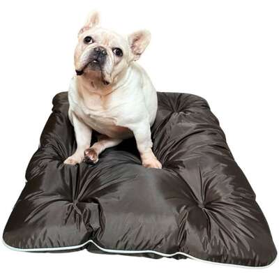 Almofadog Impermeável Choco