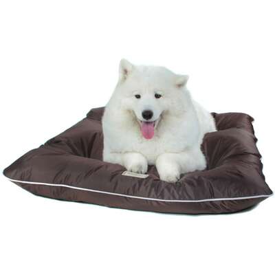 Almofadog Impermeável Choco