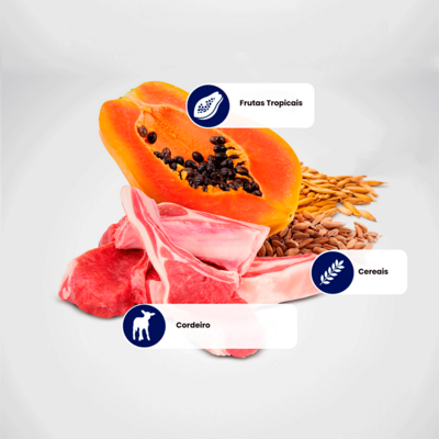 Ração Seca N&D Tropical Selection Cordeiro, Cereais e Frutas Tropicais para Cães Adultos de Raças Médias e Grandes”