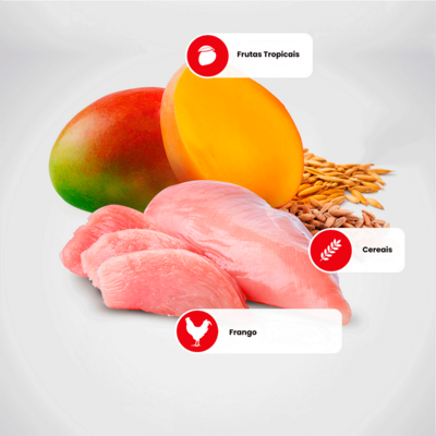 Ração Seca N&D Tropical Selection Frango, Cereais e Frutas Tropicais para Cães Adultos de Raças Médias e Grandes