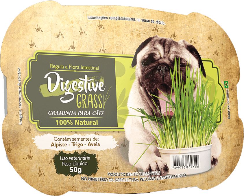 Graminha Doogs Digestive Grass para Cães Adultos - 50 g