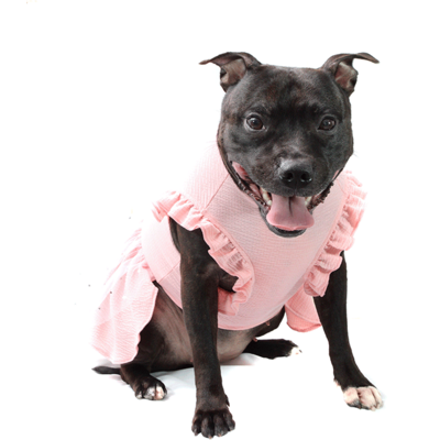 Vestido Bichinho Chic Fadinha para Cães e Gatos Rosa