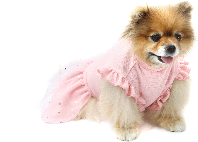 Vestido Bichinho Chic Fadinha para Cães e Gatos Rosa - Tam. 01