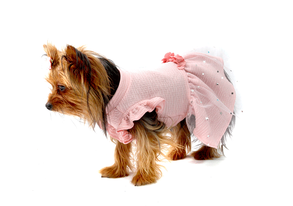 Vestido Bichinho Chic Fadinha para Cães e Gatos Rosa - Tam. 01