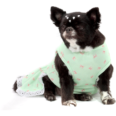 Vestido Bichinho Chic Lacinhos para Cães e Gatos Verde
