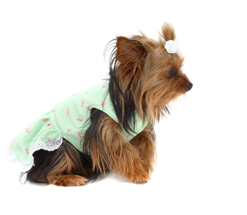 Vestido Bichinho Chic Lacinhos para Cães e Gatos Verde - Tam. 01