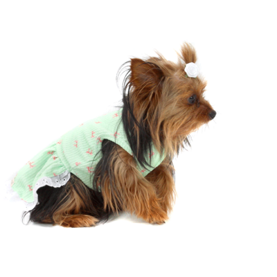 Vestido Bichinho Chic Lacinhos para Cães e Gatos Verde