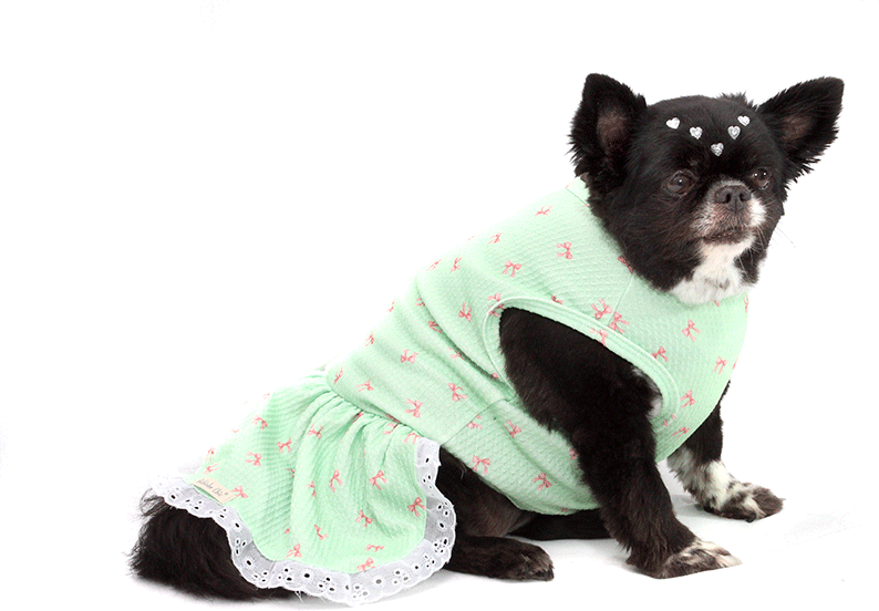 Vestido Bichinho Chic Lacinhos para Cães e Gatos Verde - Tam. 01