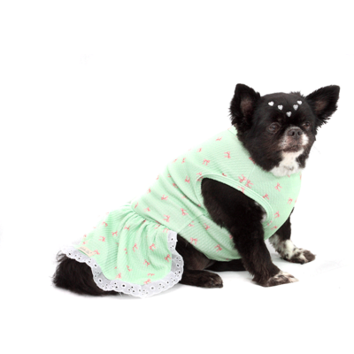 Vestido Bichinho Chic Lacinhos para Cães e Gatos Verde
