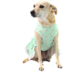Vestido Bichinho Chic Lacinhos para Cães e Gatos Verde