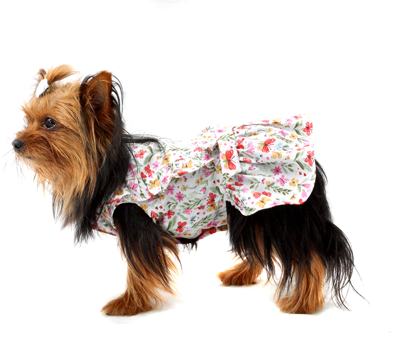 Vestido Bichinho Chic Borboletas para Cães e Gatos Bege - Tam. 02