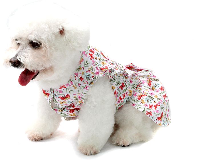 Vestido Bichinho Chic Borboletas para Cães e Gatos Bege - Tam. 02