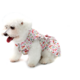 Vestido Bichinho Chic Borboletas para Cães e Gatos Bege