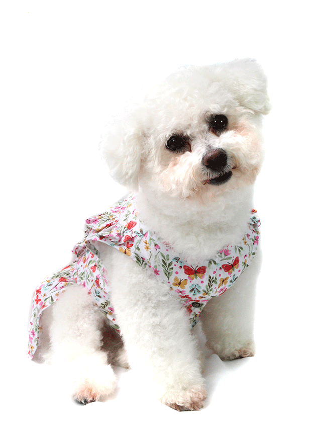 Vestido Bichinho Chic Borboletas para Cães e Gatos Bege - Tam. 02