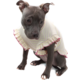 Vestido Bichinho Chic Encanto para Cães e Gatos Roxo