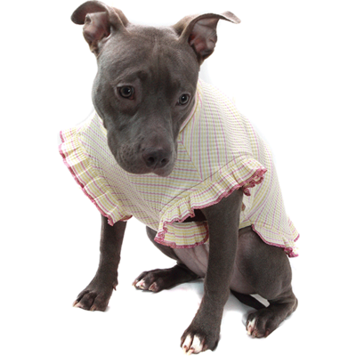 Vestido Bichinho Chic Encanto para Cães e Gatos Roxo