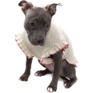 Vestido Bichinho Chic Encanto para Cães e Gatos Roxo - Tam. 06