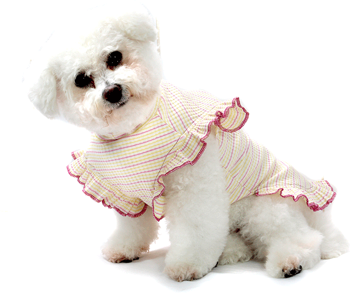 Vestido Bichinho Chic Encanto para Cães e Gatos Roxo - Tam. 07