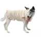 Vestido Bichinho Chic Encanto para Cães e Gatos Roxo